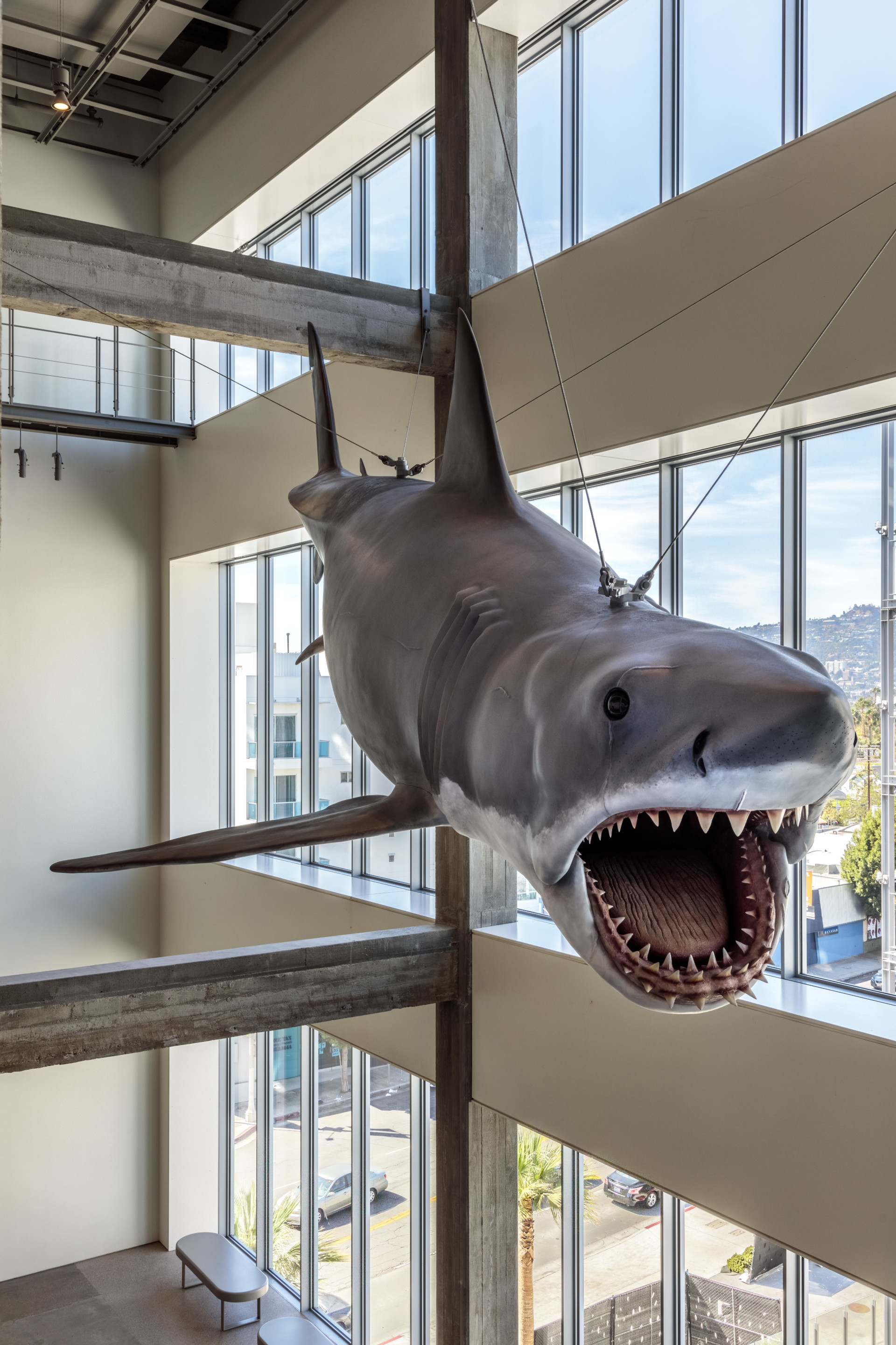 La foto muestra un tiburón animatrónico flotante en el museo.