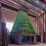 Conos cubiertos de plantas en el centro del pabellón de biotopos holandés en la Expo 2020 de Dubái